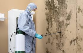 Best Commercial Mold Inspection  in Reedsburg, WI